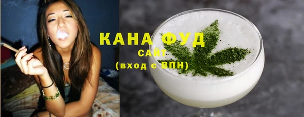индика Вязьма