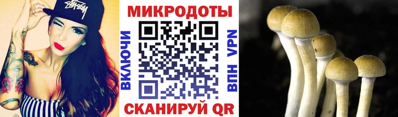Галлюциногенные грибы Magic Shrooms  mega ТОР  Пролетарск 
